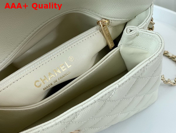 Chanel Coco Handle Bag in White Grained Calfskin with Python Handle Replica