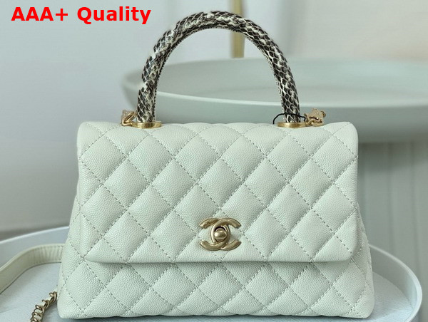 Chanel Coco Handle Bag in White Grained Calfskin with Python Handle Replica