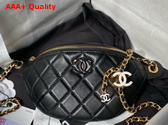 Chanel Double C Waist Bag in Black Shiny Lambskin AS4113 Replica