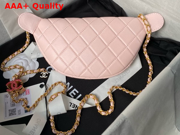 Chanel Double C Waist Bag in Pink Shiny Lambskin AS4113 Replica