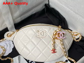 Chanel Double C Waist Bag in White Shiny Lambskin AS4113 Replica