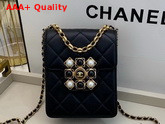 Chanel Flap Bag Calfskin Pearls Amethyst Quartz Gold Tone Metal Black AS1890 Replica