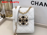 Chanel Flap Bag Calfskin Pearls Amethyst Quartz Gold Tone Metal White AS1890 Replica