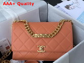 Chanel Flap Bag Grained Calfskin Gold Tone Metal Brown Ref AS2764 Replica