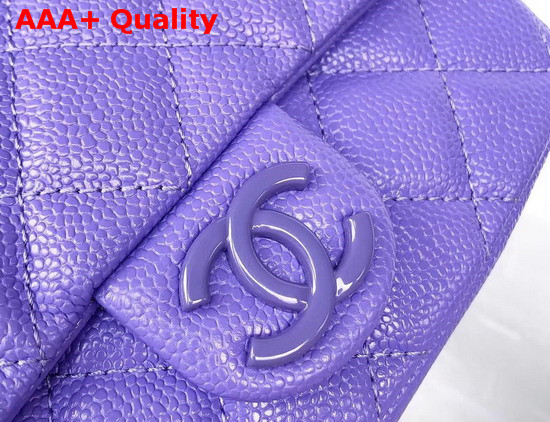 Chanel Flap Bag Grained Calfskin and Lacequered Metal Light Purple AS1784 Replica