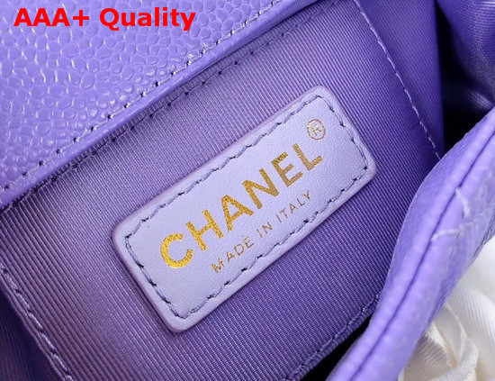 Chanel Flap Bag Grained Calfskin and Lacequered Metal Light Purple AS1784 Replica