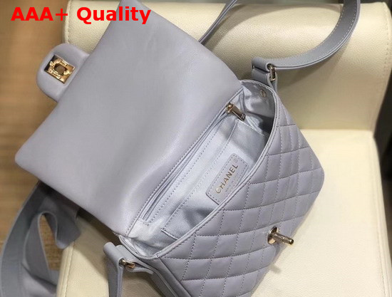 Chanel Flap Bag Lambskin Calfskin and Gold Tone Metal Light Grey AS1737 Replica