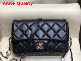 Chanel Flap Bag Lambskin Imitation Pearls and Gold Tone Metal Black AS1533 Replica