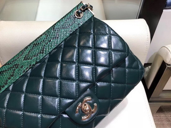 Chanel Flap Bag Lambskin Python Gold Tone Metal Green A57947