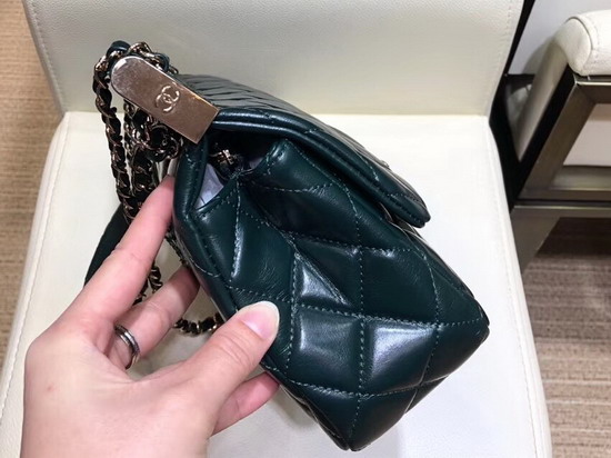 Chanel Flap Bag Lambskin Python Gold Tone Metal Green A57947