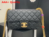 Chanel Flap Bag Lambskin Resin and Gold Tone Metal Black AS2380 Replica