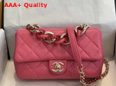 Chanel Flap Bag Lambskin Resin and Gold Tone Metal Pink AS1353 Replica