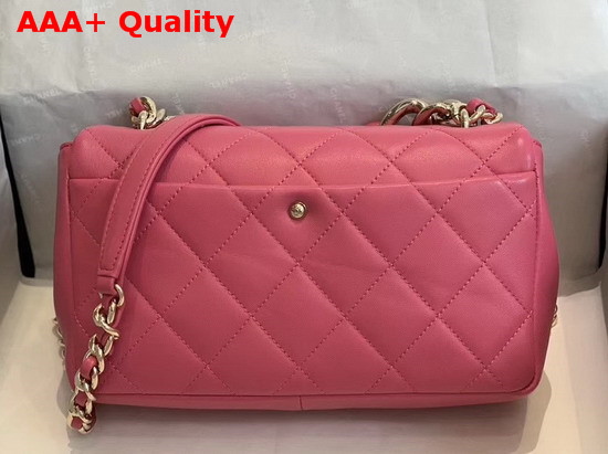 Chanel Flap Bag Lambskin Resin and Gold Tone Metal Pink AS1353 Replica