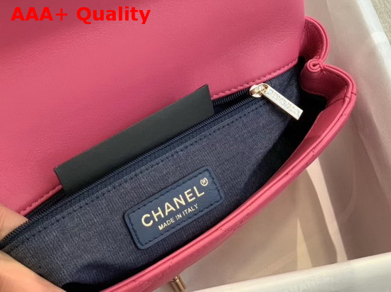 Chanel Flap Bag Lambskin Resin and Gold Tone Metal Pink AS1353 Replica