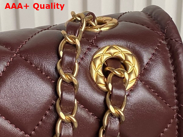 Chanel Flap Bag in Dark Brown Shiny Crumpled Calfskin and Gold Tone Metal AS5225 Replica