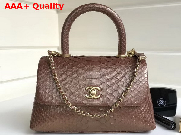 Chanel Flap Bag with Top Handle Antique Brass Python Gold Tone Metal Replica