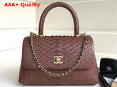 Chanel Flap Bag with Top Handle Brown Python Gold Tone Metal Replica