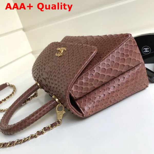 Chanel Flap Bag with Top Handle Brown Python Gold Tone Metal Replica