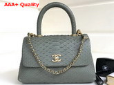 Chanel Flap Bag with Top Handle Light Blue Python Lambskin Gold Tone Metal Replica