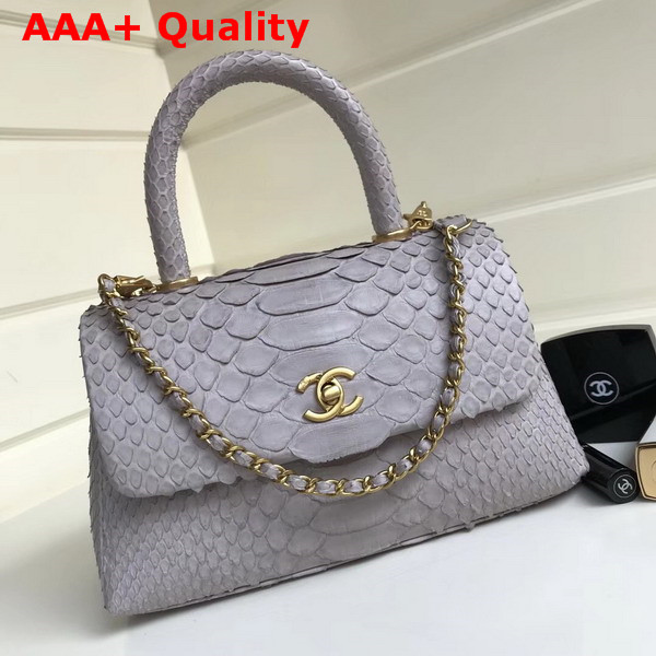 Chanel Flap Bag with Top Handle Light Grey Python Lambskin Gold Tone Metal Replica