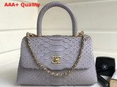 Chanel Flap Bag with Top Handle Light Grey Python Lambskin Gold Tone Metal Replica