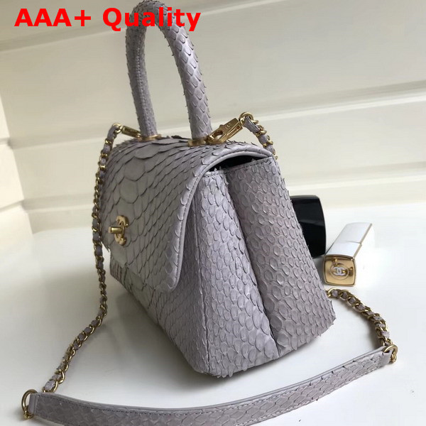 Chanel Flap Bag with Top Handle Light Grey Python Lambskin Gold Tone Metal Replica