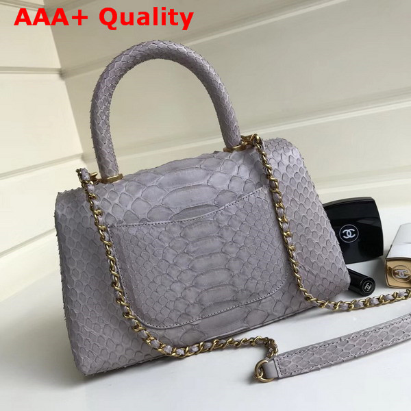 Chanel Flap Bag with Top Handle Light Grey Python Lambskin Gold Tone Metal Replica