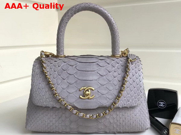 Chanel Flap Bag with Top Handle Light Grey Python Lambskin Gold Tone Metal Replica