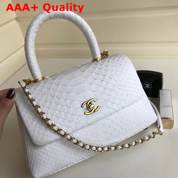 Chanel Flap Bag with Top Handle Python Lambskin Gold Tone Metal White Replica