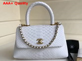 Chanel Flap Bag with Top Handle Python Lambskin Gold Tone Metal White Replica