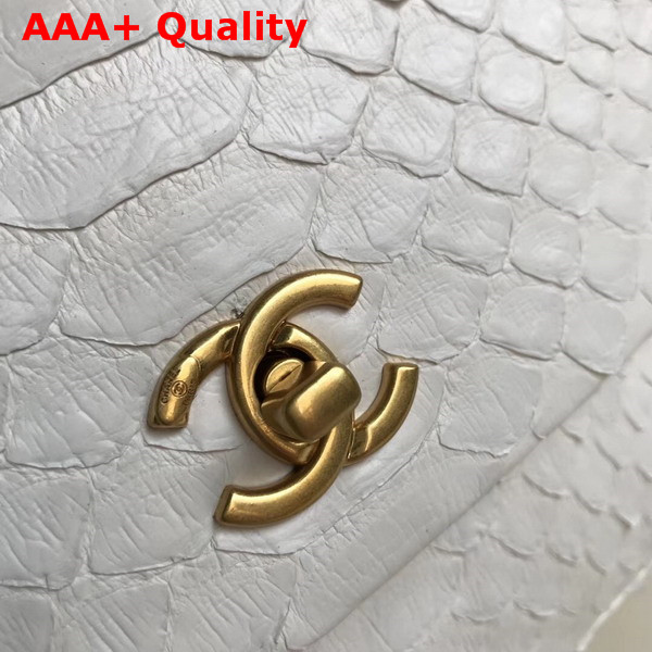 Chanel Flap Bag with Top Handle Python Lambskin Gold Tone Metal White Replica