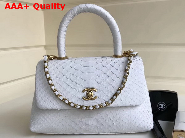 Chanel Flap Bag with Top Handle Python Lambskin Gold Tone Metal White Replica