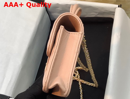 Chanel Flap Coin Purse with Chain Lambskin Gold Tone Metal Pink Ref AP2200 Replica