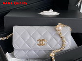 Chanel Flap Phone Holder with Chain Gray Shiny Lambskin Imitation Pearls Gold Tone Metal AP4284 Replica