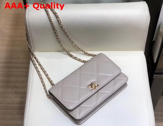 Chanel Flap Wallet On Chain Light Grey Lambskin Replica