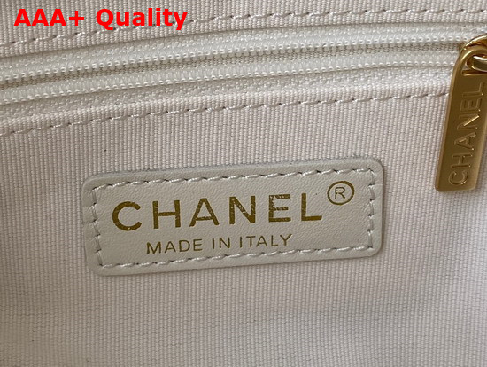 Chanel Hobo Handbag Calfskin Gold Tone Metal White Ref AS2910 Replica