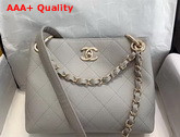 Chanel Hobo Handbag Grey Grained Calfskin Replica