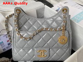 Chanel Hobo Handbag in Light Grey Shiny Crumpled Calfskin Gold Tone Metal AS4322 Replica