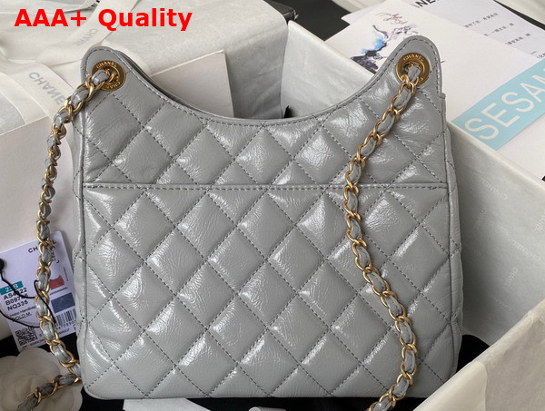 Chanel Hobo Handbag in Light Grey Shiny Crumpled Calfskin Gold Tone Metal AS4322 Replica