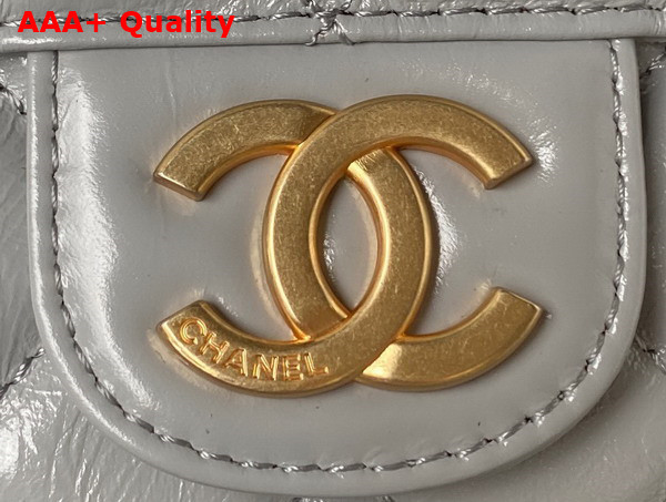 Chanel Hobo Handbag in Light Grey Shiny Crumpled Calfskin Gold Tone Metal AS4322 Replica