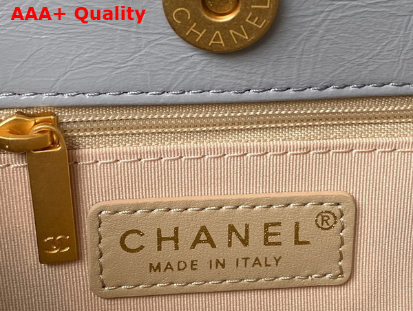 Chanel Hobo Handbag in Light Grey Shiny Crumpled Calfskin Gold Tone Metal AS4322 Replica