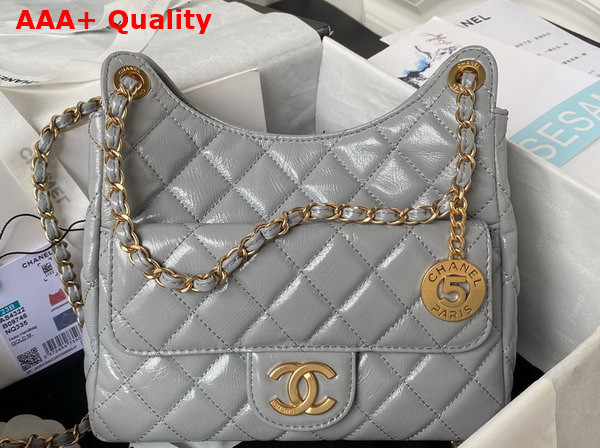 Chanel Hobo Handbag in Light Grey Shiny Crumpled Calfskin Gold Tone Metal AS4322 Replica