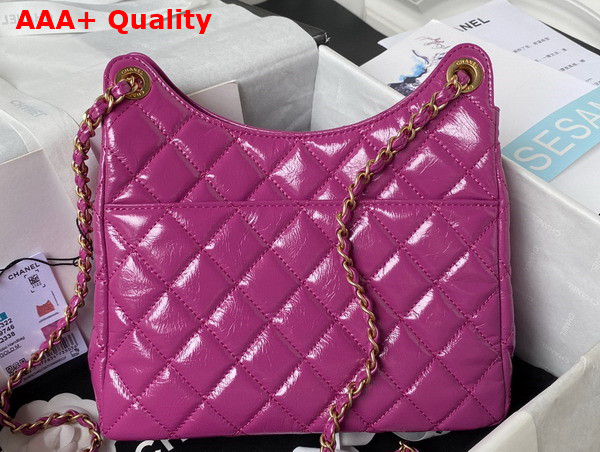 Chanel Hobo Handbag in Light Purple Purple Shiny Crumpled Calfskin Gold Tone Metal AS4322 Replica