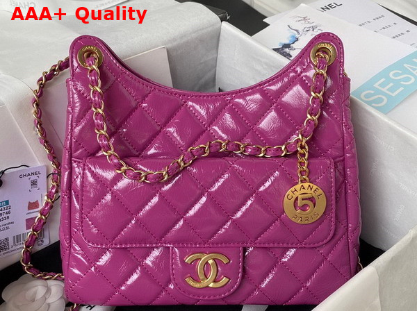 Chanel Hobo Handbag in Light Purple Purple Shiny Crumpled Calfskin Gold Tone Metal AS4322 Replica