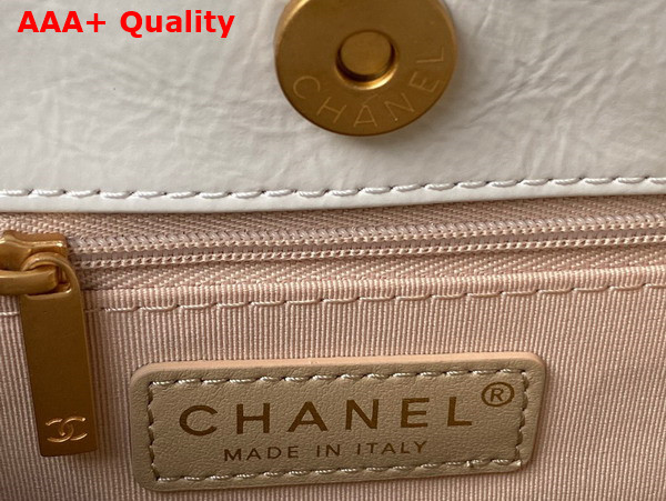 Chanel Hobo Handbag in White Shiny Crumpled Calfskin Gold Tone Metal AS4322 Replica