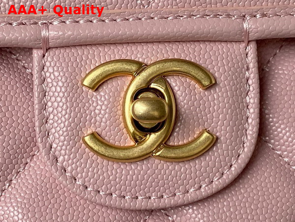 Chanel Large Backpack in Pink Grained Calfskin Gold Tone Metal As3662 Replica