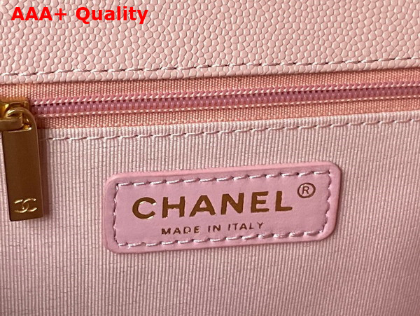 Chanel Large Backpack in Pink Grained Calfskin Gold Tone Metal As3662 Replica