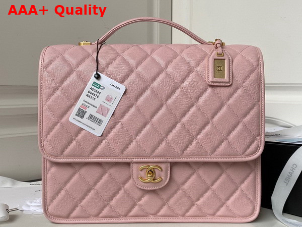 Chanel Large Backpack in Pink Grained Calfskin Gold Tone Metal As3662 Replica