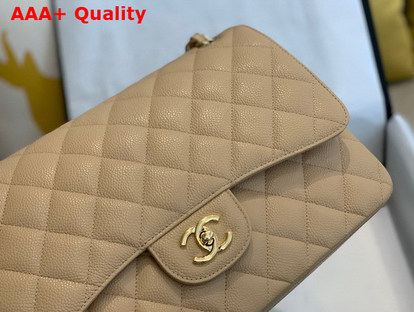 Chanel Large Classic Handbag in Beige Grained Calfskin Gold Tone Metal A58600 Replica