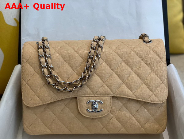 Chanel Large Classic Handbag in Beige Grained Calfskin Gold Tone Metal A58600 Replica